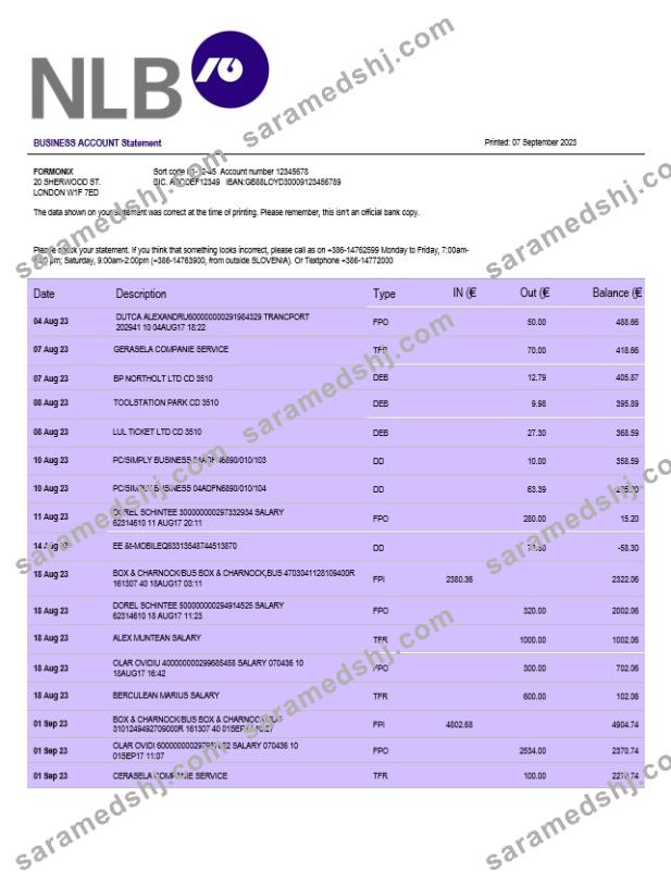 NLB Bank firm account statement Word and PDF template